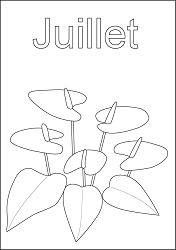 Mois de Juillet