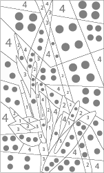 coloriage magique d'oiseaux du paradis